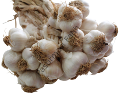Kastamonu Taşköprü Sarımsağı(1000gr)